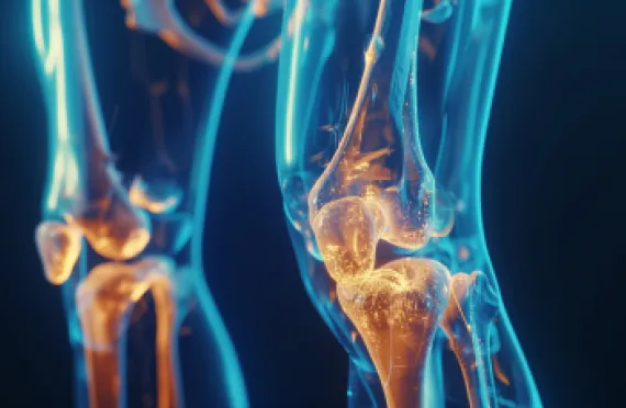 Hydrolyzovaný kolagen: in vitro účinky injekčního přípravku CHondroGrid, zdravotnického prostředku pro léčbu osteoartrózy